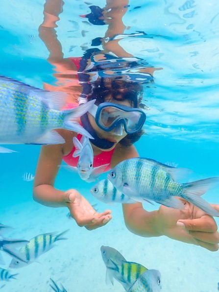 Asian woman on a snorkeling trip at Samaesan Thailand. dive underwater with fishes in the coral reef sea pool. Travel lifestyle, watersport adventure, swim activity on a summer beach holiday